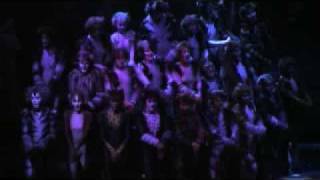 Cats - Jellicle Songs for Jellicle Cats Prologue