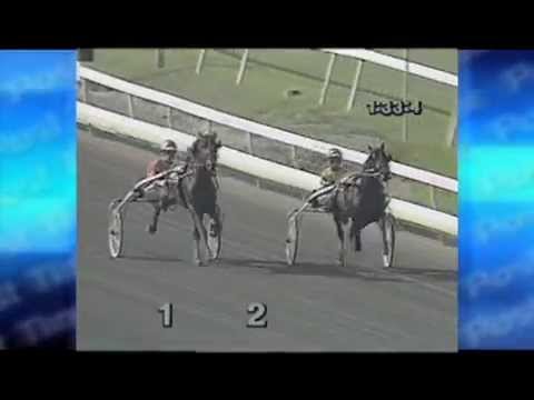 1989 Hambletonian Dead Heat - From "The Race To Glory" Video