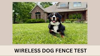 This GPS Dog Fence Works Without Buried Wires