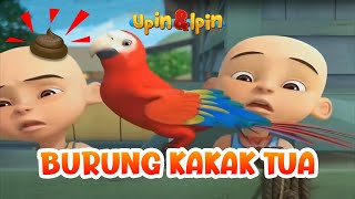 Download lagu Burung Kakak Tua Versi Upin Ipin Si Merah Baru Bahasa Indonesia Dengan Lirik || Lagu Anak Indonesia mp3 Download lagu Burung Kakak Tua Versi Upin Ipin Si Merah Baru Bahasa Indonesia Dengan Lirik || Lagu Anak Indonesia mp3