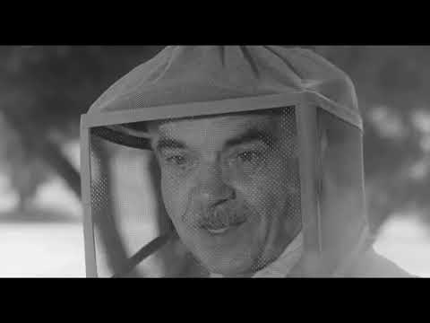 Off Beat Cinema The Wasp Woman (1959)