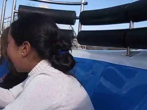 Tickler short video by Nancy Osorio