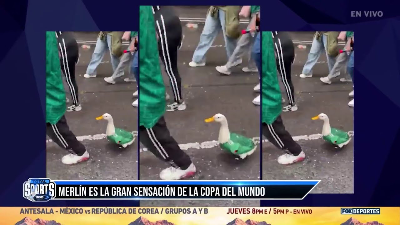 🥳🇲🇽 EL PATO MERLÍN | El seguidor de México que rompe las redes | Total Sports