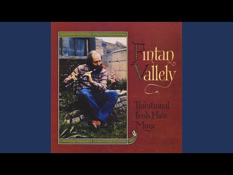 The Beauty Spot / Paddy Taylor’s / The Humours of Loughrea