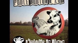 Poule Mouton N'Cow-Sonovabitch
