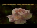 ABBA -  Hasta Mañana (Lyrics On Screen)