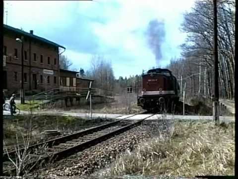 Diesellok 202 231 im Einsatz / Werdau - Wünschendorf / März 1997