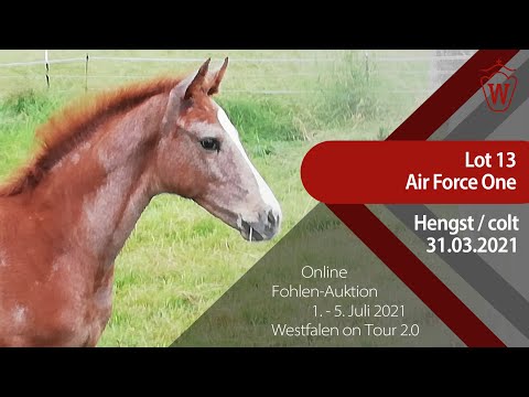 "Westfalen on Tour 2.0"-Auktion - Lot 13 Air Force One v. All Music - Colman