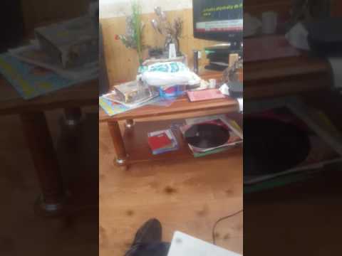 Albatross remix worlds apart