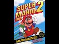 Pause Overworld Extended Super Mario Bros 2