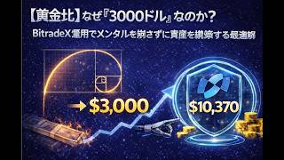 【黄金比】なぜ『3000ドル』なのか？BitradeX運用でメンタルを崩さずに資産を構築する最適解