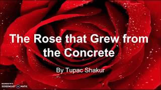 &quot;The Rose that Grew From Concrete&quot; by Tupac Shakur : Quick Poetry Analysis