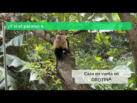 Imagen de Venta de Casas en Hacienda vieja - Orotina Hacienda Vieja - ALAJUELA