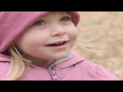 Teletubbies: Series 1: Walking in the Woods