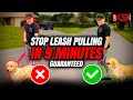 How To Stop Leash Pulling Now Pro Tips For Success