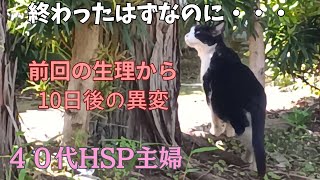 40代HSP主婦の日常／終わったはずなのに・・・生理終了10日後の異変と10㎝の筋腫