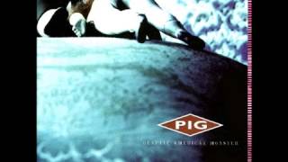 PIG - Disrupt, Degrade &amp; Devastate