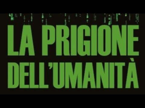 #Effetto #Social #network com'è cambiata la nostra vita