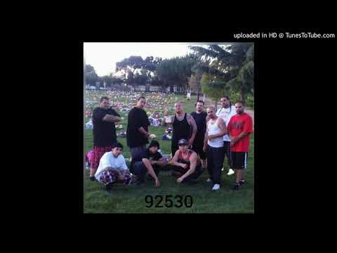 L.s.e- Scrapa free (XIV)