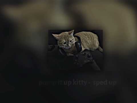 pump it up kitty but sped up