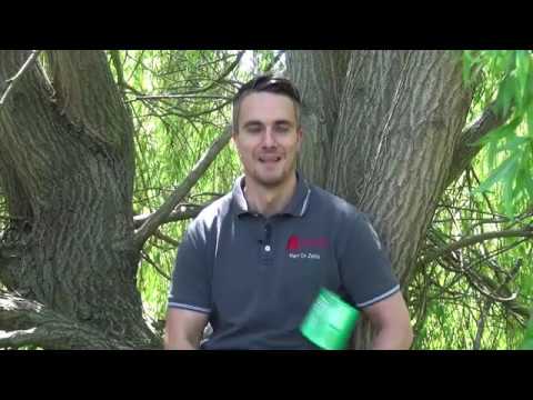 Gesundheitsmagazin vom 24.06.2020 / Thema: Schmerzen - LAUSITZWELLE