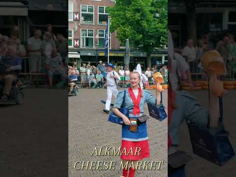 Alkmaar Kaasmarkt 2025 🧀 | Cheese Carriers & Weighing Ritual #Shorts