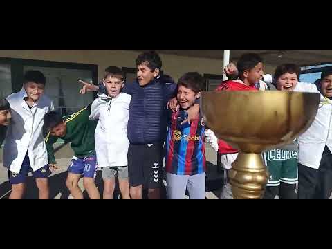 Toco Y Me Voy   7MO Colonia Rosa 2025