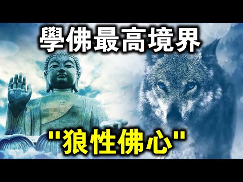 佛敵