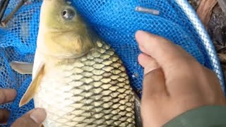 Download lagu Spot wko pelembinatur surganya ikan tombro😁 mp3