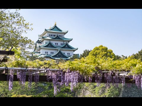 動画サムネイル