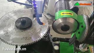 Mài lưỡi cưa tự động WM-600SB | máy rửa lưỡi cưa tự động Woodmaster