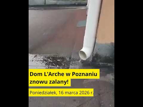 Obrazek poglądowy filmu YouTube