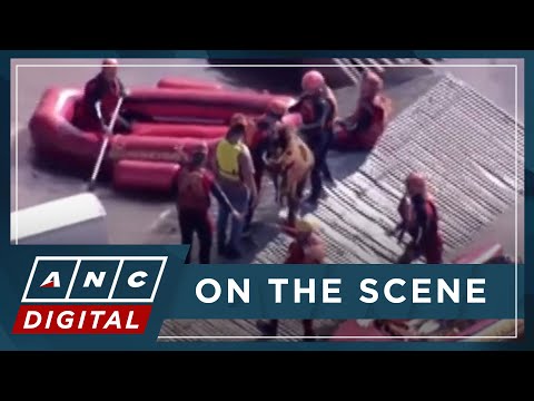 Brazil authorities rescue horse stranded on rooftop amid floods ANC