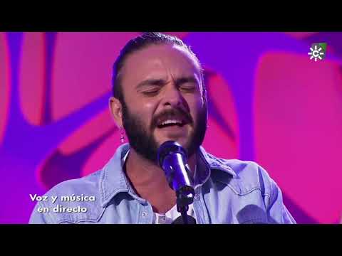 Sigo. Mario Palma. 2000