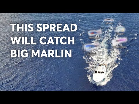 Waterman notes: How to Make the Best Lure Spread for Big Marlin