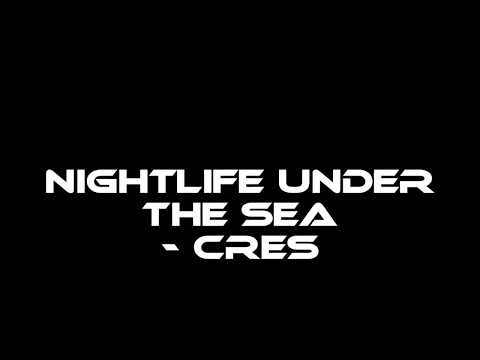 Nachttauchen im Mittelmeer   nightlife under the sea   Cres