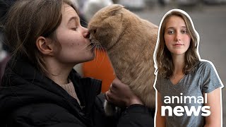 Volunteers help Ukrainian pets flee the war with Russia | CBC Kids News