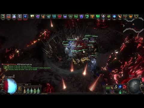 Min-Maxed Carrion Golem Scion | A8 Sirus | DPS Check