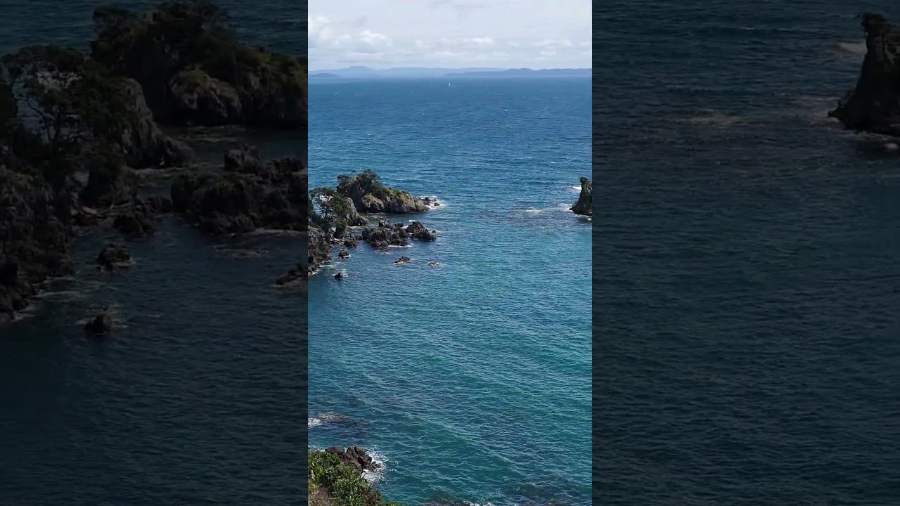 YouTube Short thumbnail