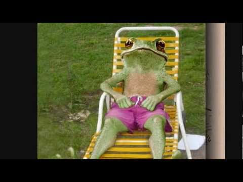 Sander Kleinenberg - Frog Dancing