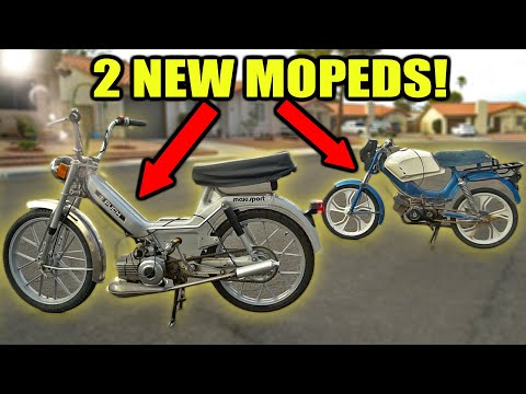 BUYING 2 CHEAP MOPEDS! | PUCH MAXI & TOMOS
