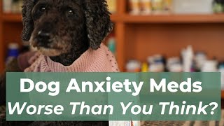 A Safer Alternative to Anxiety Medication for Dogs (5 Proven Tips!)