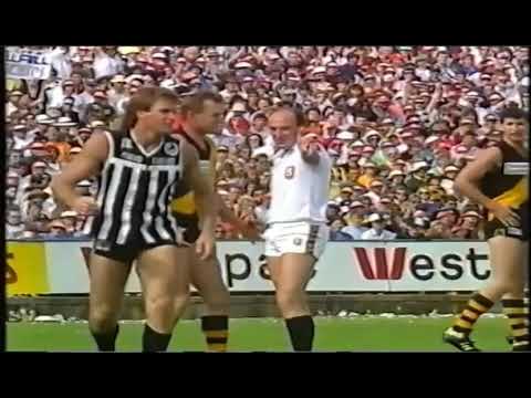 Scott Hodges breaks Rick Davies SANFL Record AFL/SANFL Grand Final
