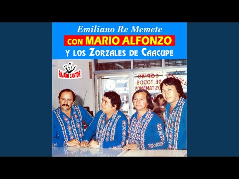 Ko´ape Che Avy´ave