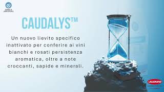 CAUDALYS™: Esalta la persistenza aromatica, la salinità e la freschezza nei vini bianchi e rosati