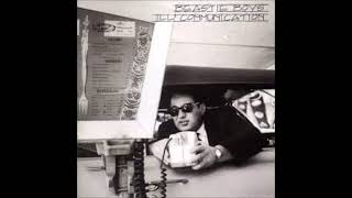 BEASTIE BOYS - The Update
