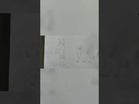 wolf vs sher #RK artist