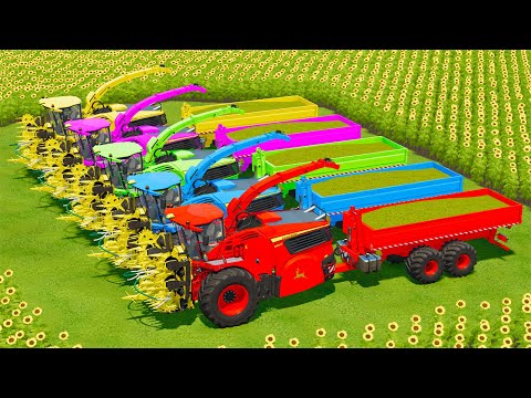 CUT SUNFLOWERS, LOAD & MAKE CHAFF WITH JOHN DERRE FORAGE HARVESTERS - Farming Simulator 22