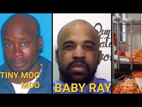 107 HOOVER TINY MOO MOO STORY: KILLED IN COUNTY JAIL BY HIS CELLY FROM 107 HOOVER BABY RAY!