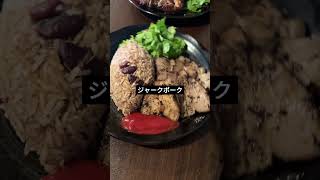 DJするボカロpの1日vlog（KMNPARTY編） #vlog